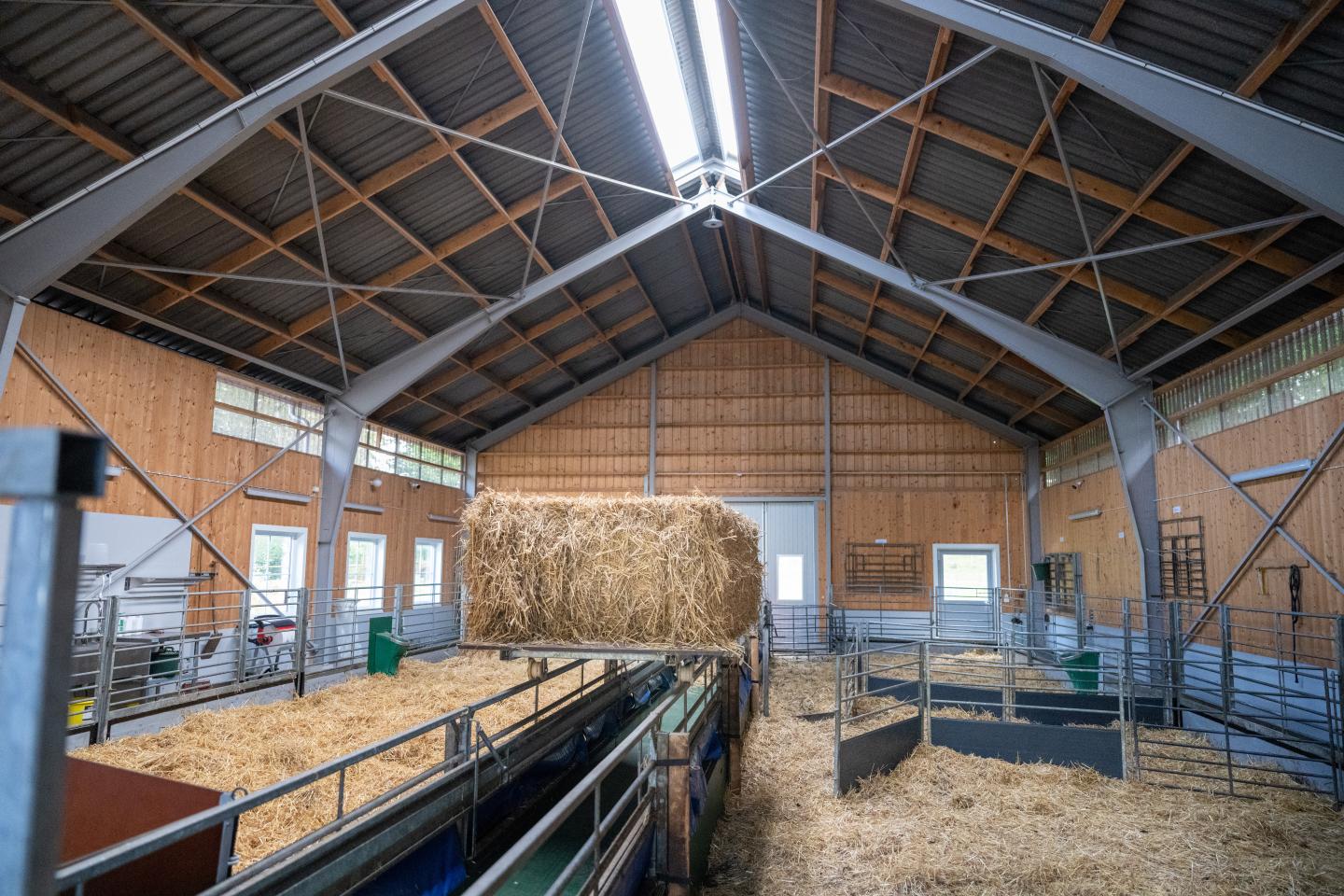 Interiör av ett nybyggt fårstall