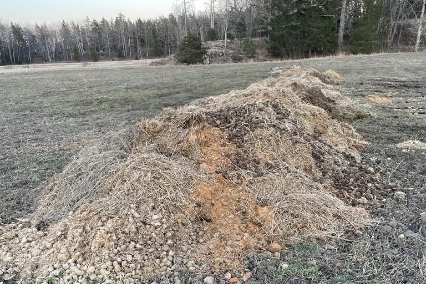Gödselstuka på ett fält.