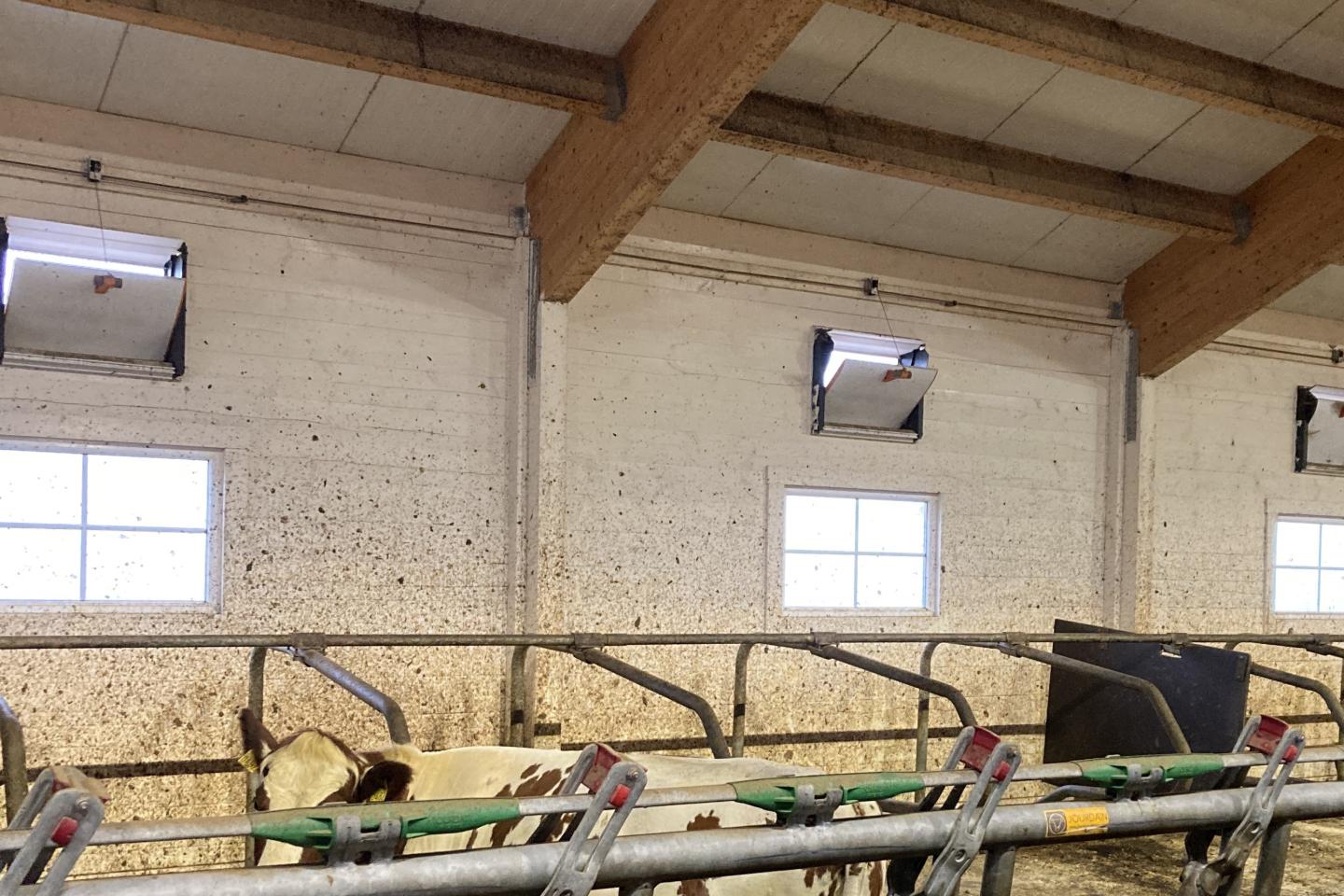 Liggbås och vägg med ventilationsdon i ett kostall