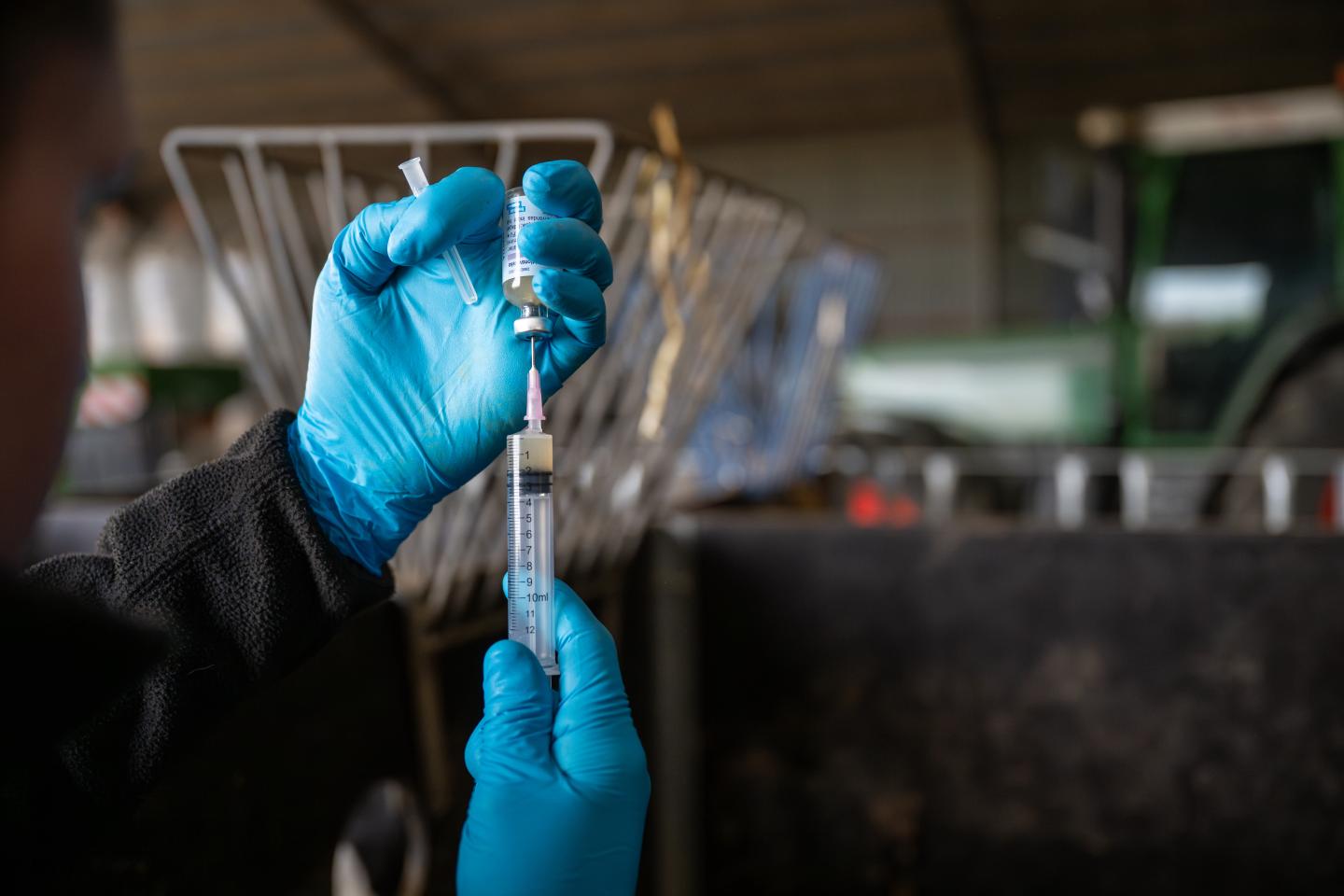 Vaccin dras upp i en spruta