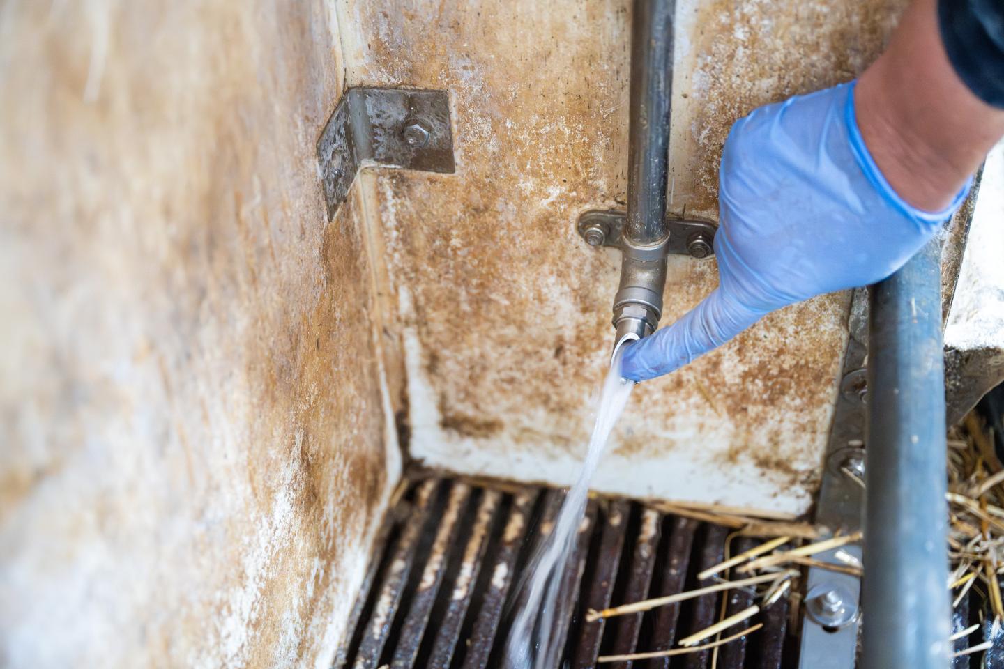 vattennippel som spolar vatten