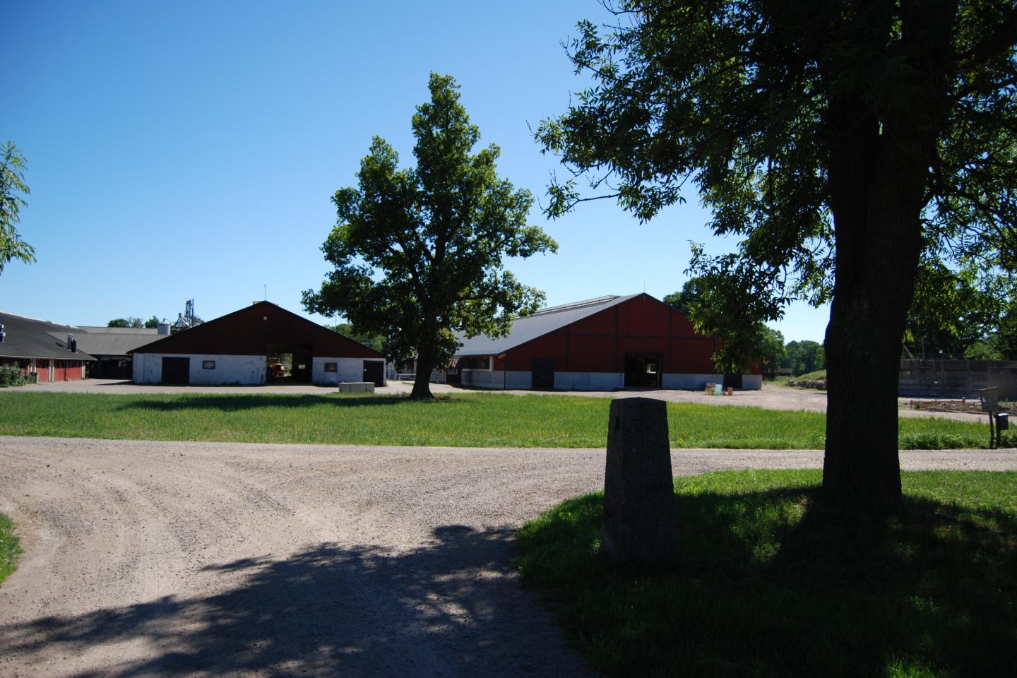 Gårdsbild med stallbyggnader