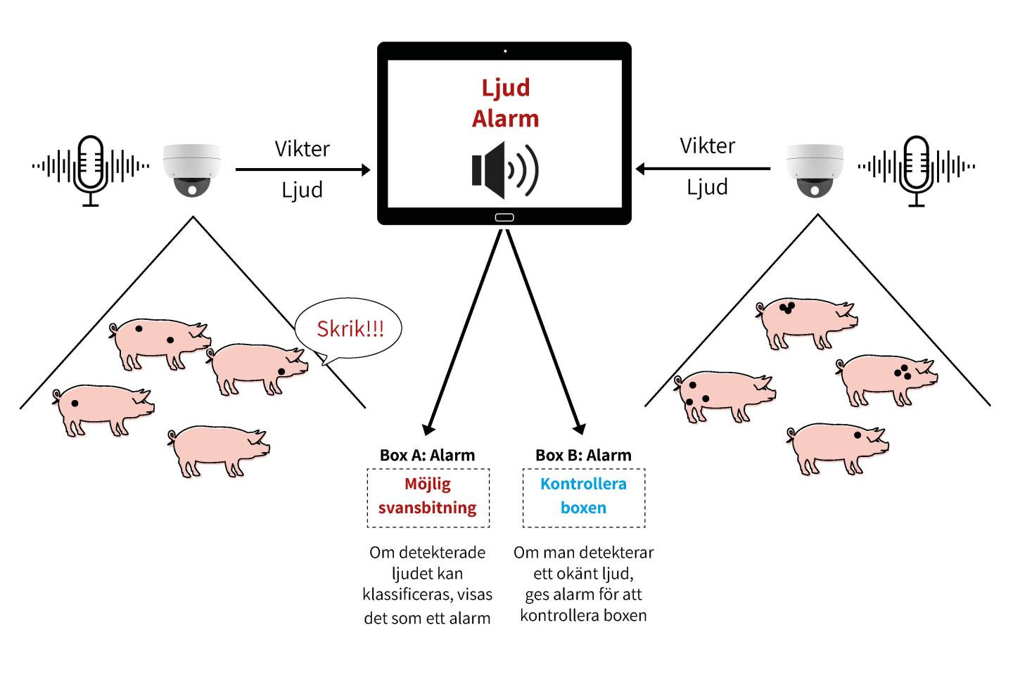 Illustration Pigxcel 3.0
