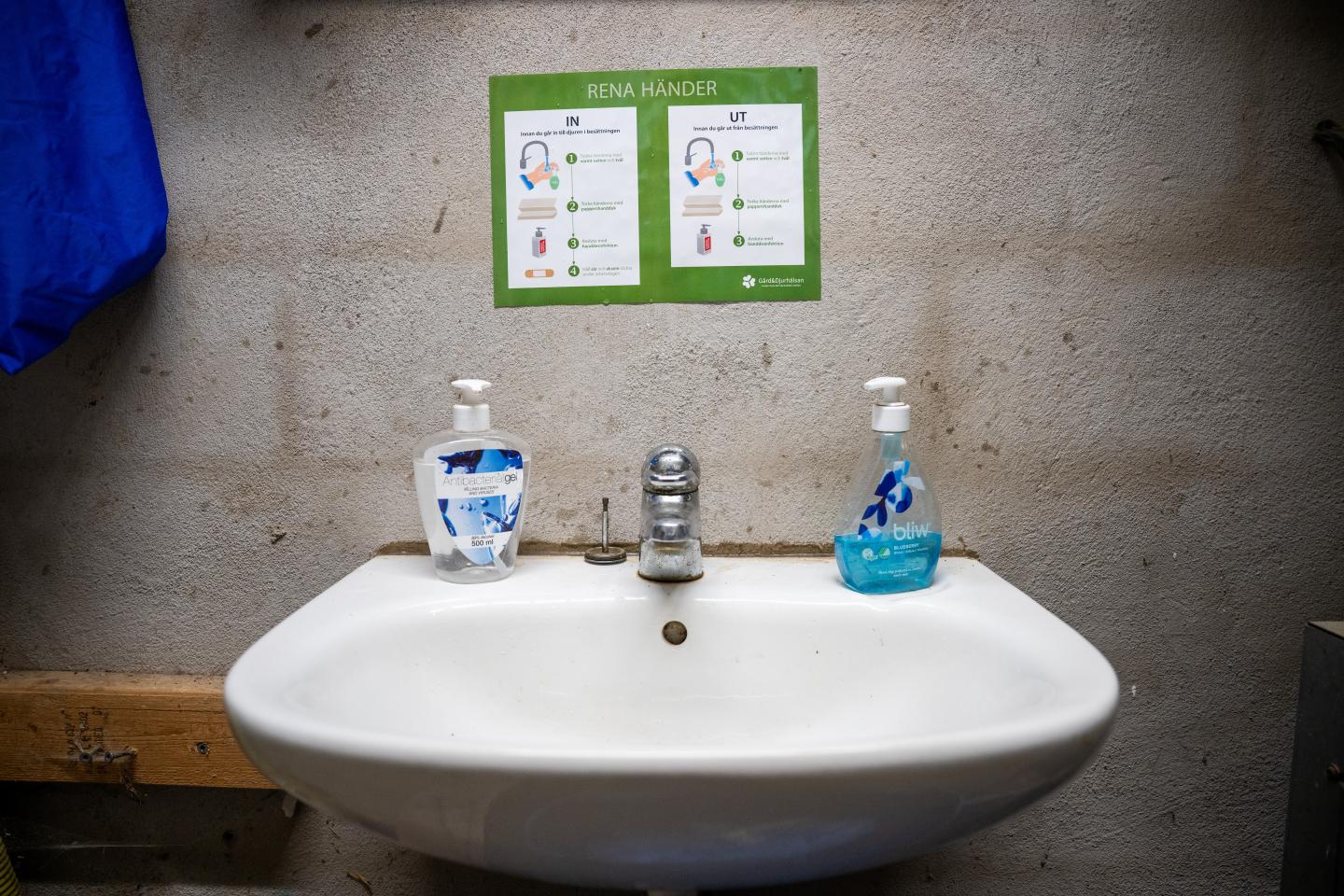 Handfat med tvål, handsprit, och skylt ovanför med instruktioner om handtvätt. 