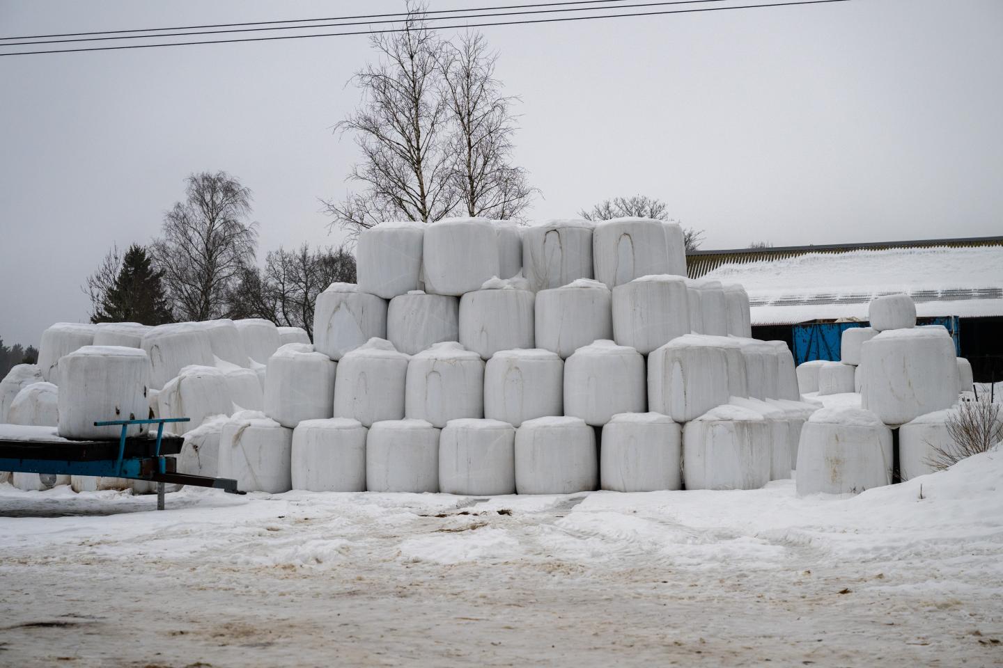 Staplade ensilagebalar med snö
