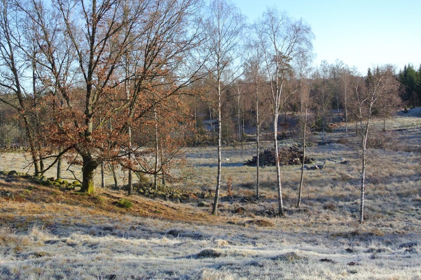 storfålla