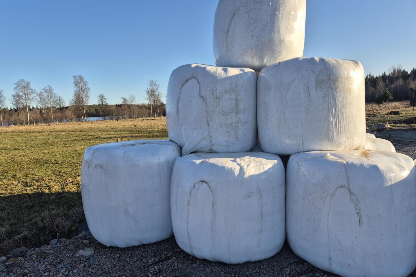 Ensilagebalar