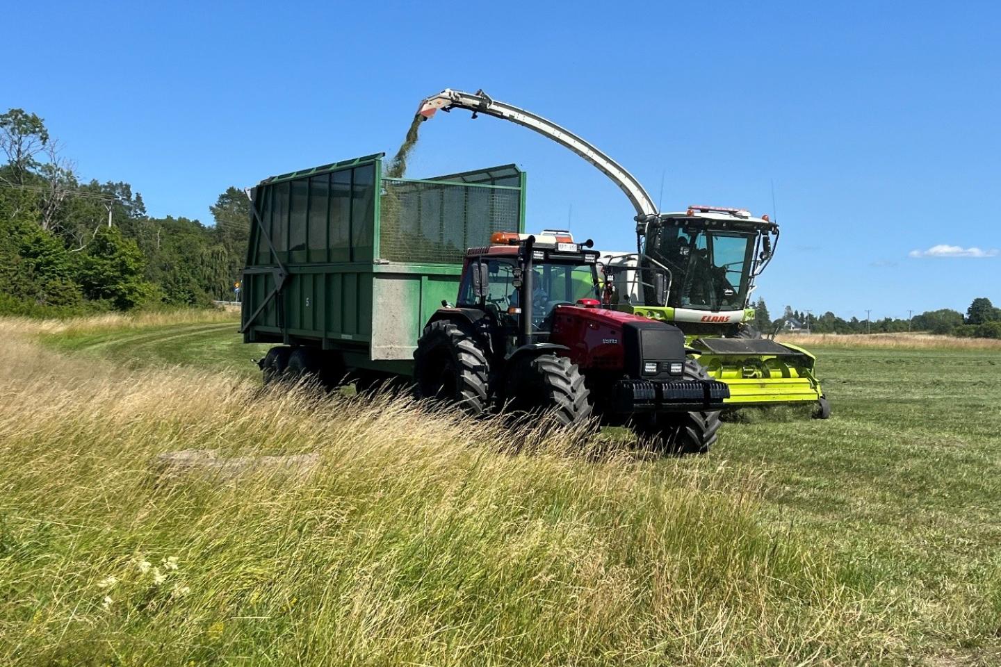 Skörd av vallensilage