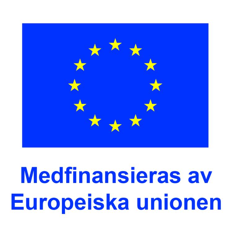 Eu flagga