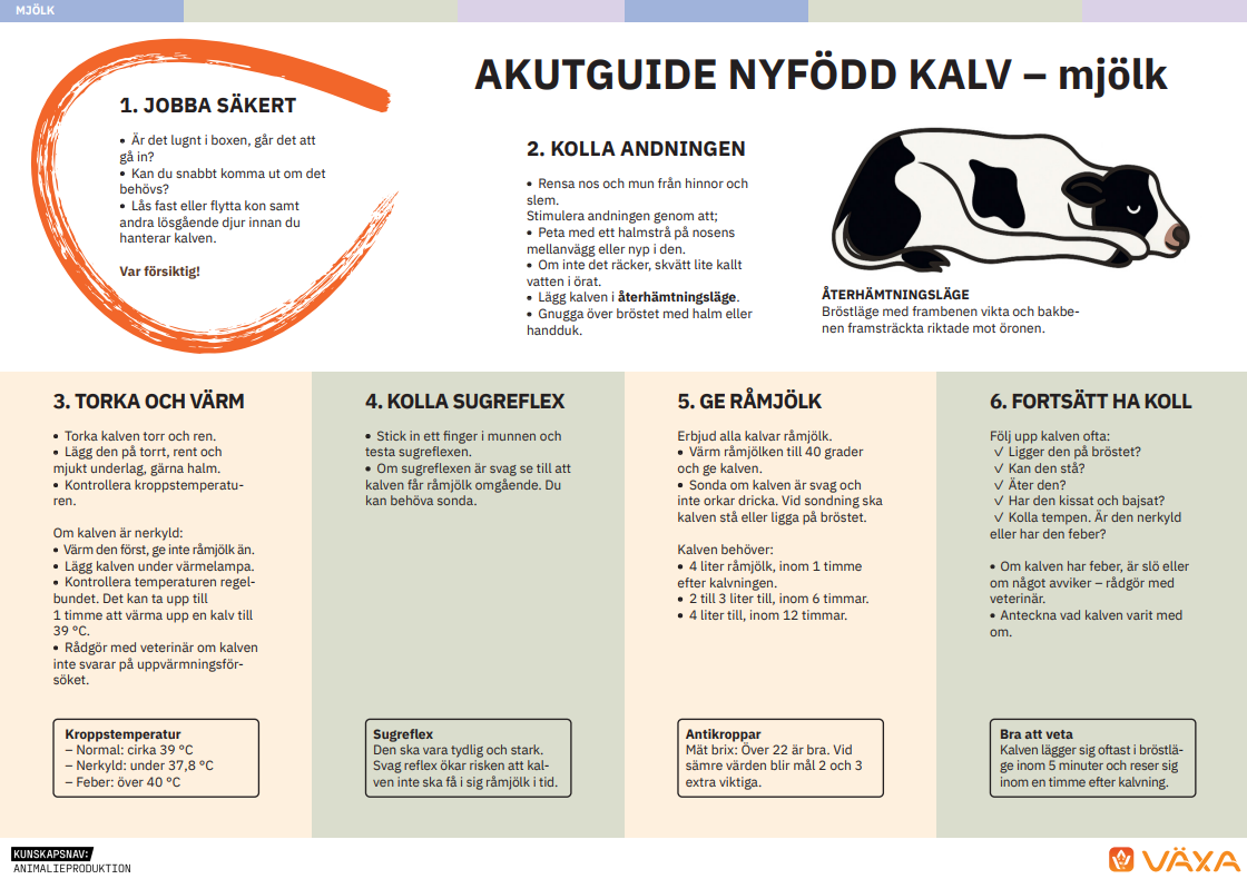 Akutguide mjölk