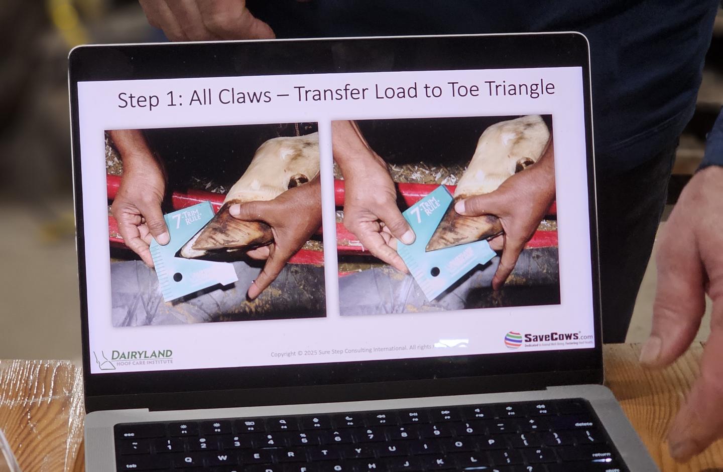 Mätning av klövens vinkel med mätskiva