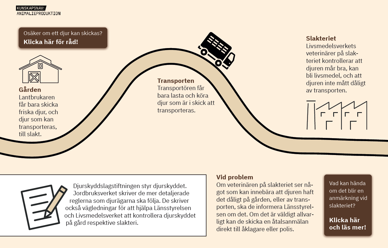 Flödesschema som beskriver djur till slakt. Från gård, via transportören och slakteriet samt ev problem.