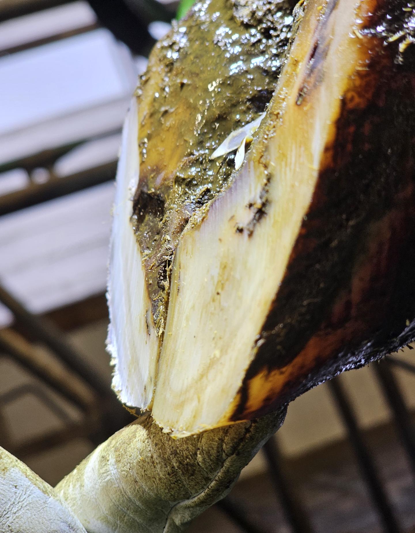 Sula från sidan som illustrerar innerväggens höjd