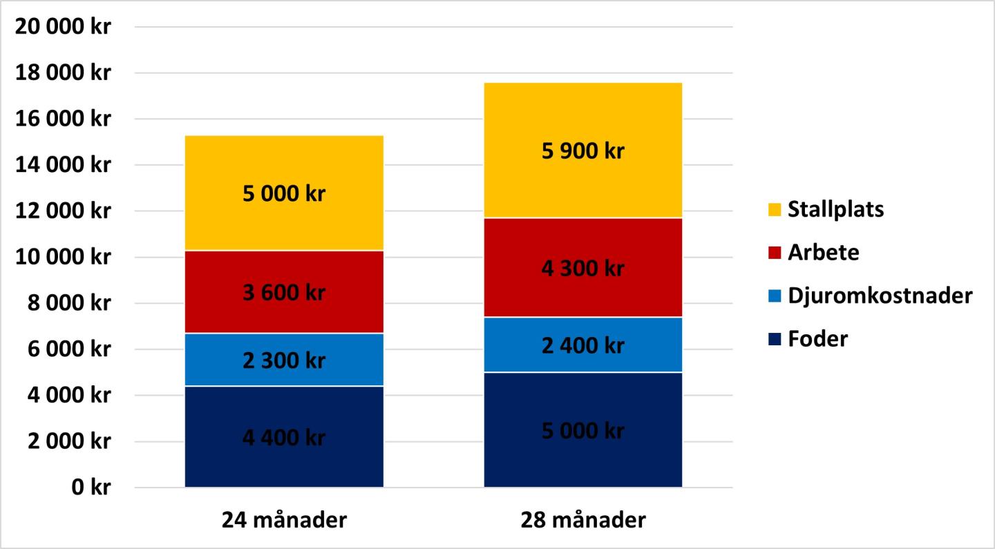 Diagram över kostnader för 24 månaders inkalvning respektive 28 månader