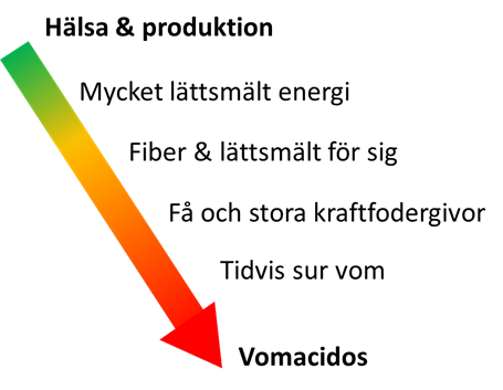 Illustration över hälsa och produktion i förhållande till våmacidos