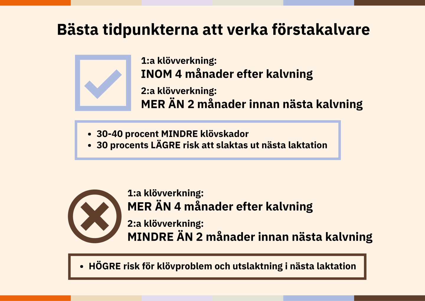 Illustration över bästa tidpunkterna att verka förstakalvare