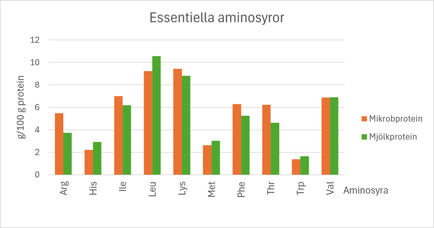 Graf över essentiella aminosyror