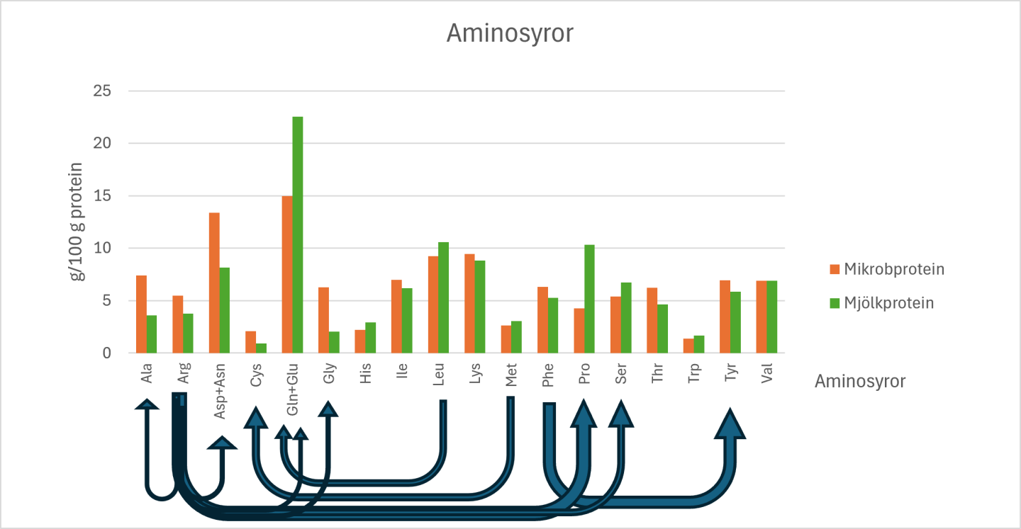 Aminosyror i mikrobprotein respektive mjölkprotein