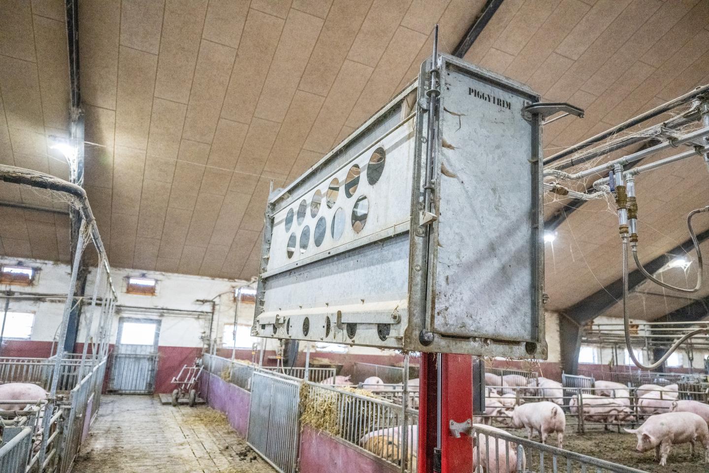 Klövverkningsstol