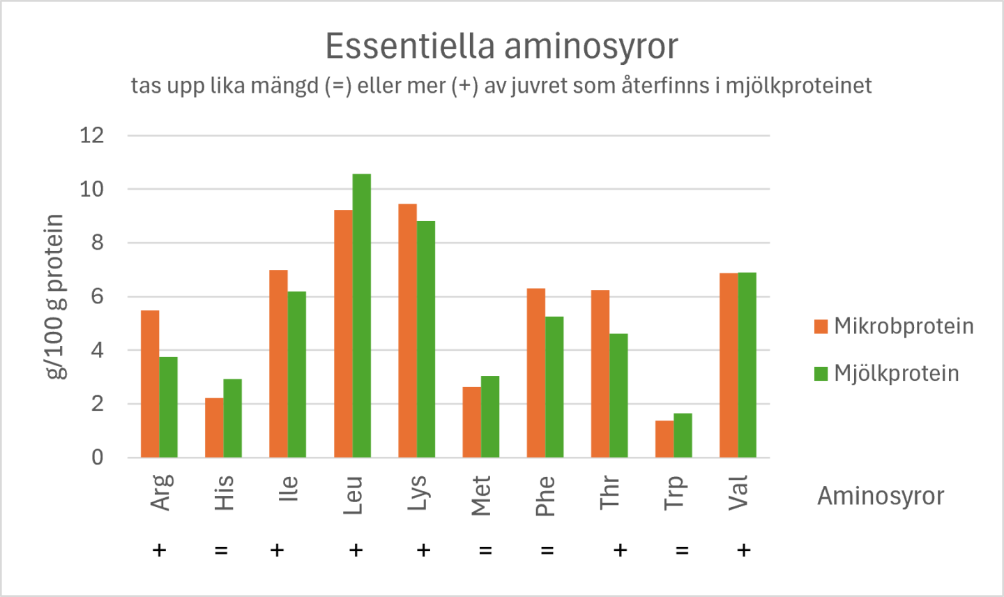 Graf över essentiella aminosyror