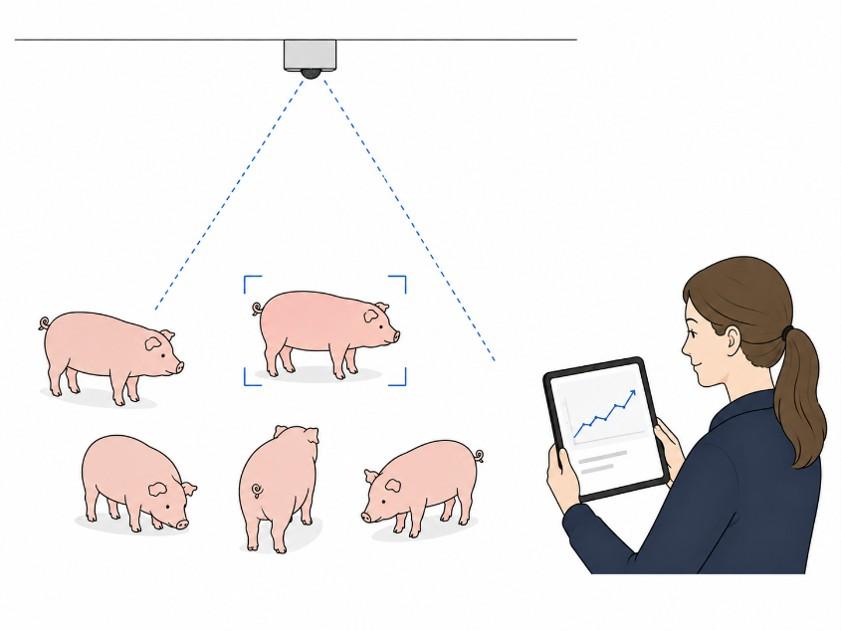 Illustration kameravägning