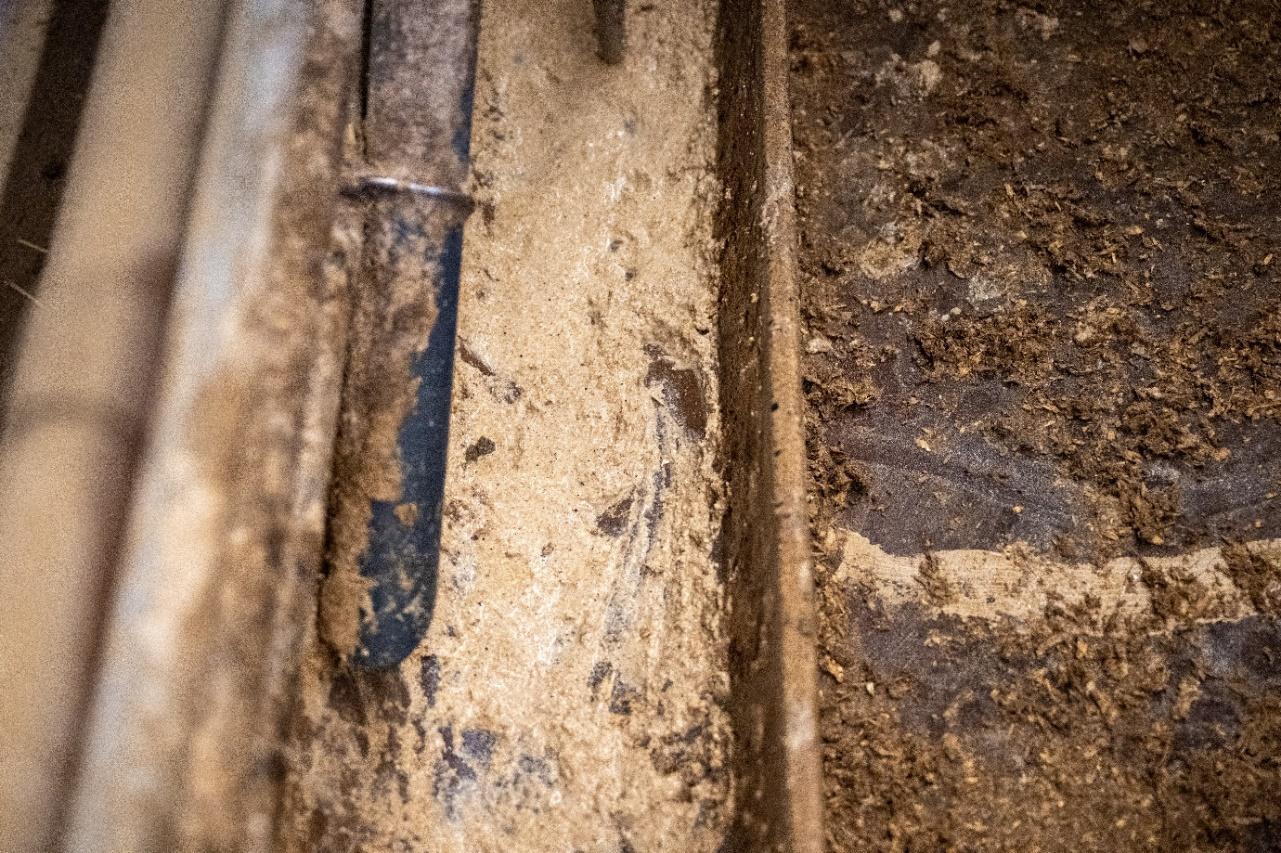 En annan provpunkt kan vara vid utfodringsventilen i stallet. 