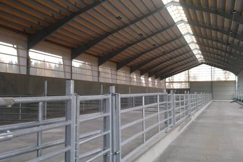 Stallbyggnad sedd inifrån