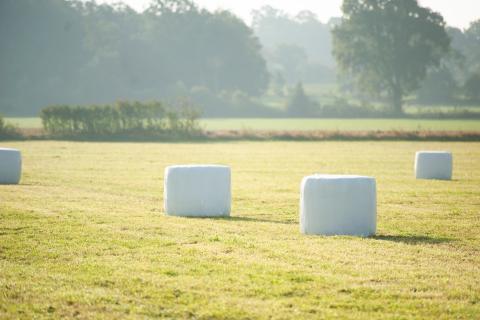 Ensilagebalar