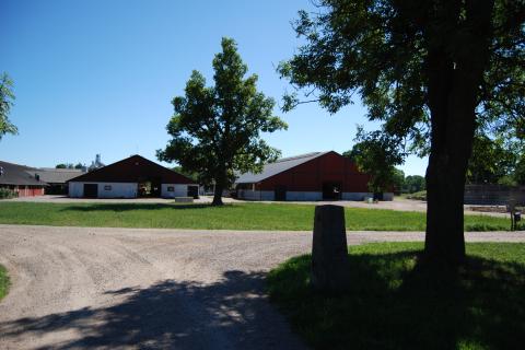 Gårdsbild med stallbyggnader