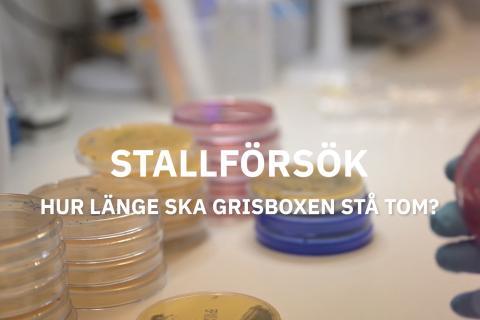 Händer rör sig i en laboratoriemiljö.