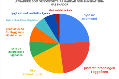 Diagram över åtgärder för att minska hasskador