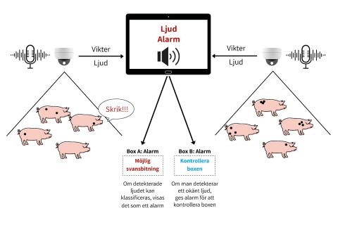 Illustration Pigxcel 3.0