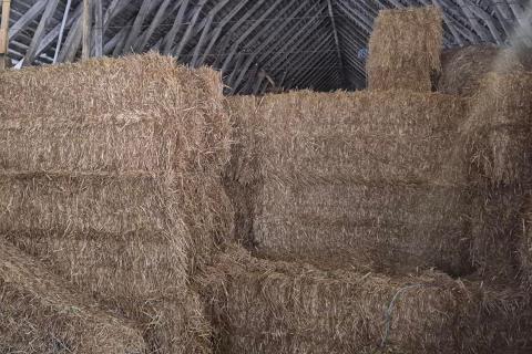 Bild på lagrade halmbalar