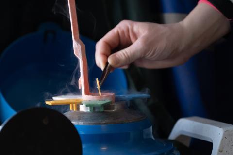 Strå med tjursperma