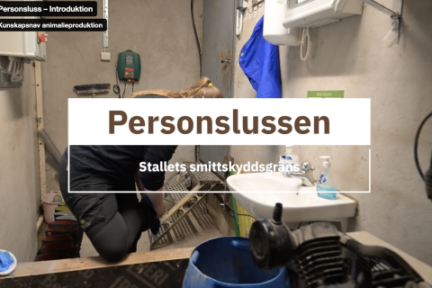 Handfat i personalutrymme på gård.