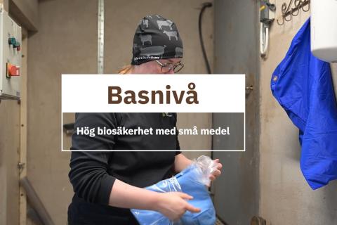 Människa står i entré till ett stall