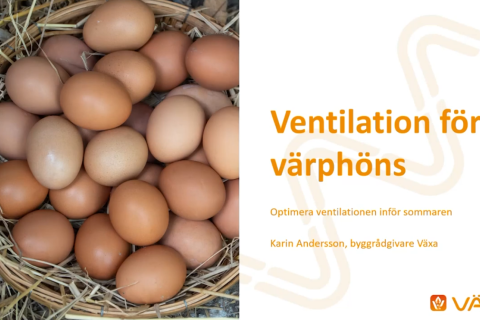 Presentationsbild av webinaret