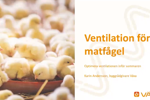 Presentationsbild av webinaret