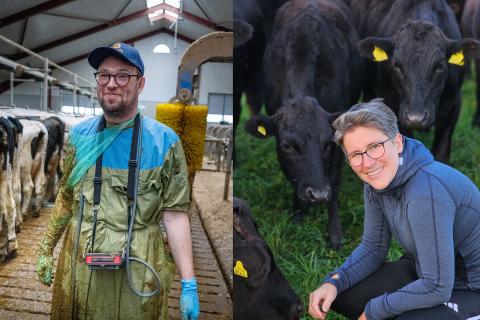 Två människor som står i ett stall respektive framför några kor