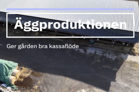 Flygbild på stall