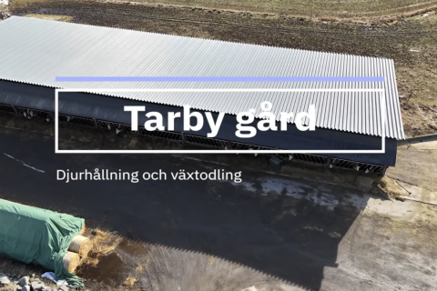 Flygbild på stall