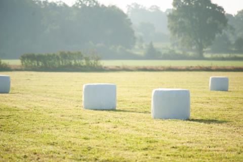 Ensilagebalar