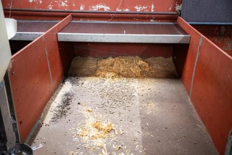 Platsen under taket är varmt och skyddat.