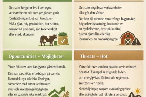 En bild som förklarar vad SWOT-analys är