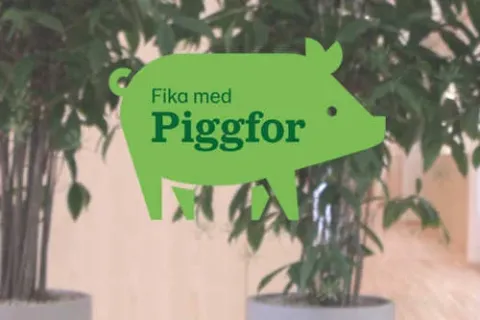 Fika med Piggfor