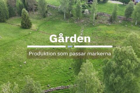 Grön betesmark med granar och lövträd i sluttning. Text: Gården – Produktion som passar markerna.