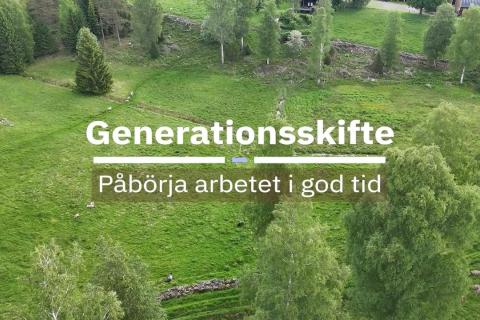 Grön betesmark med granar och lövträd i sluttning. Text: Generationsskifte – Påbörja arbetet i god tid.