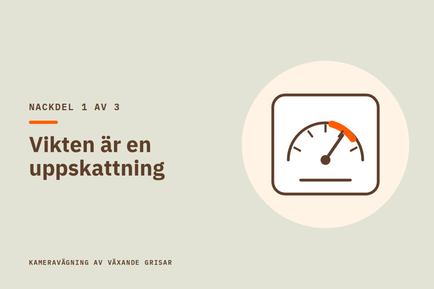Nackdel 1 av 3: Vikten är en uppskattning. Illustration av en våg med visare.
