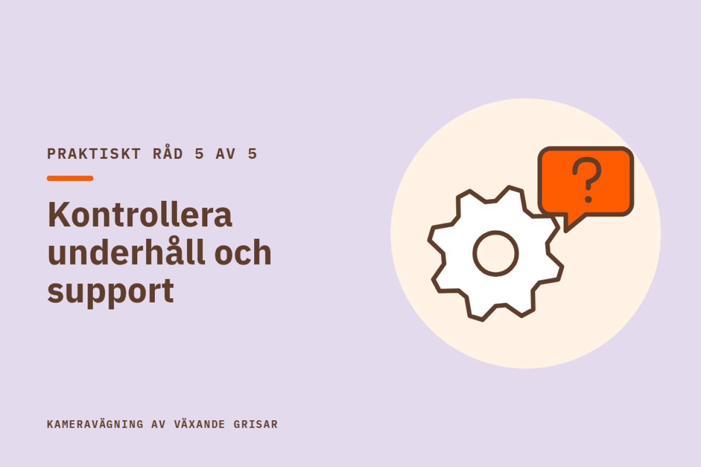 Praktiskt råd 5 av 5: Kontrollera underhåll och support. Illustration av ett kugghjul och en pratbubbla med frågetecken.