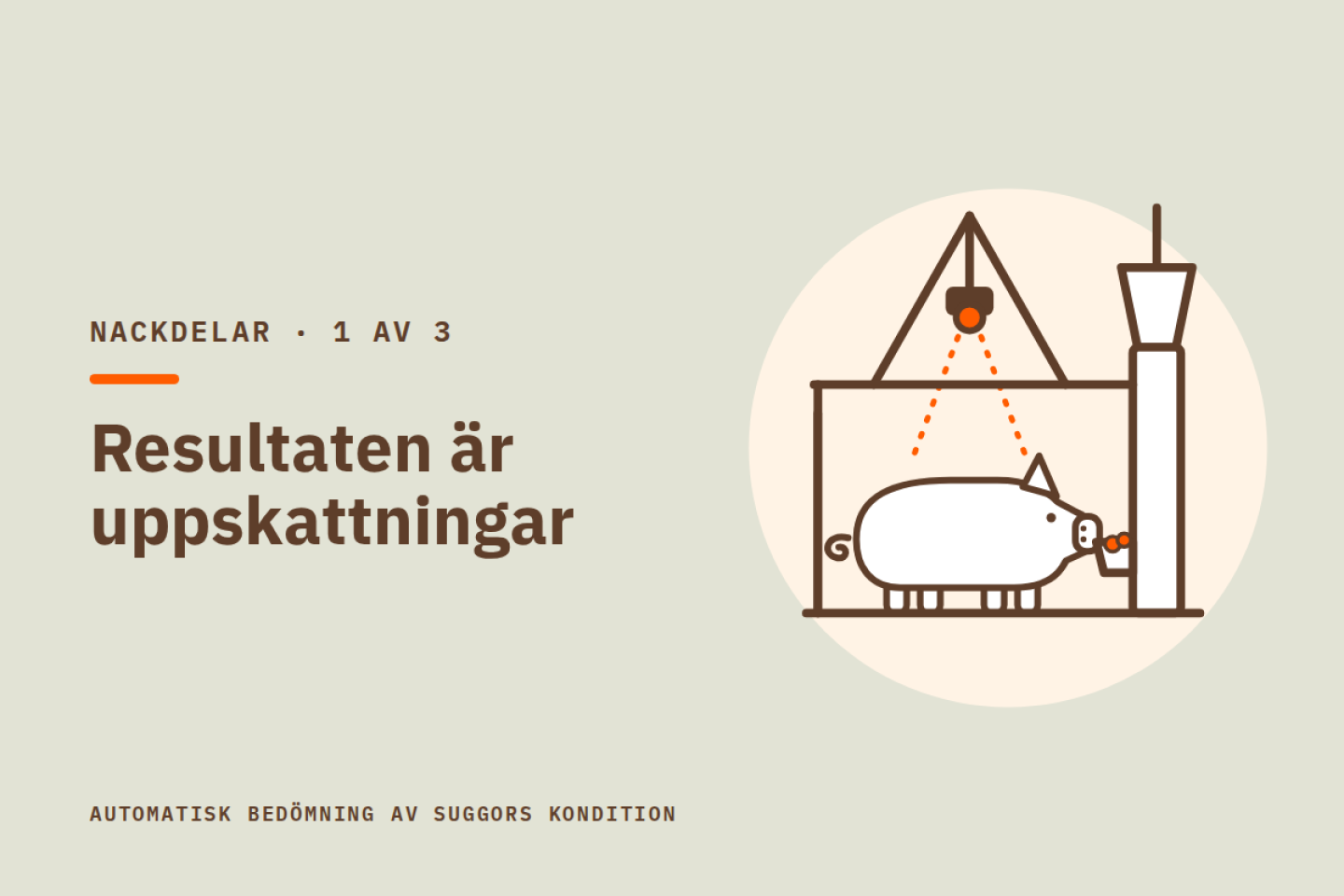 Resultaten är uppskattningar. Illustration av en sugga som äter i en foderstation, med en kamera i en ställning ovanför som läser av hennes rygg.